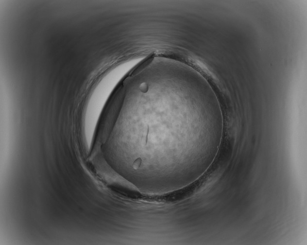 X0000085300586200703091434