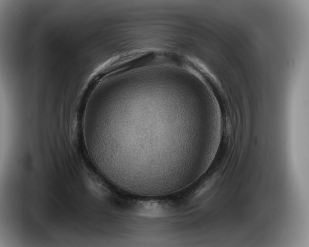 X0000085300588200703091434