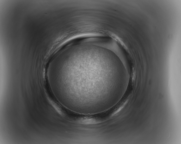 X0000085300589200703091434