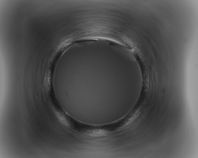 X0000085300590200703091434