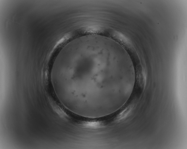 X0000085300591200703091434