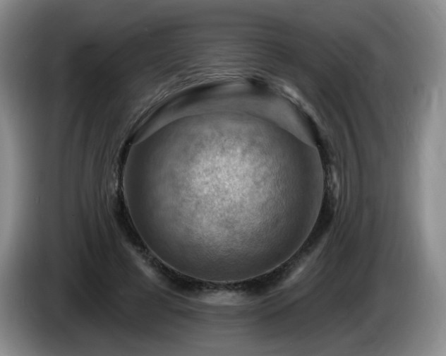 X0000085300593200703091434