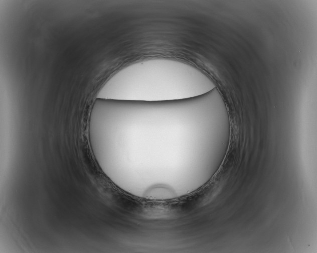 X0000085300594200703091434