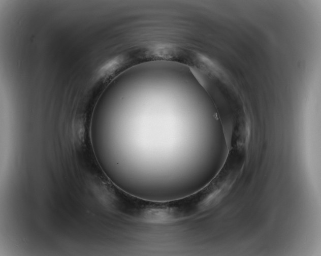 X0000085300595200703091434