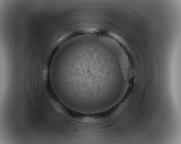 X0000085300596200703091434