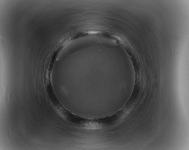 X0000085300598200703091434