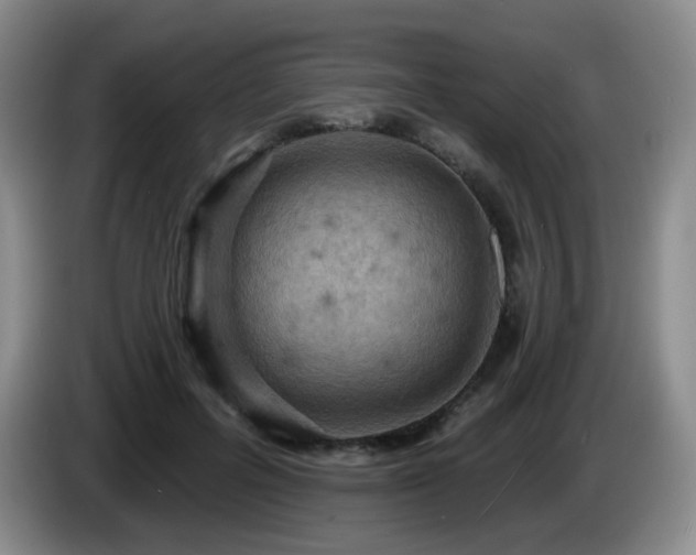 X0000085300600200703091434