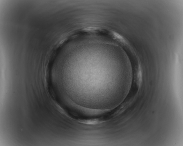 X0000085300604200703091434