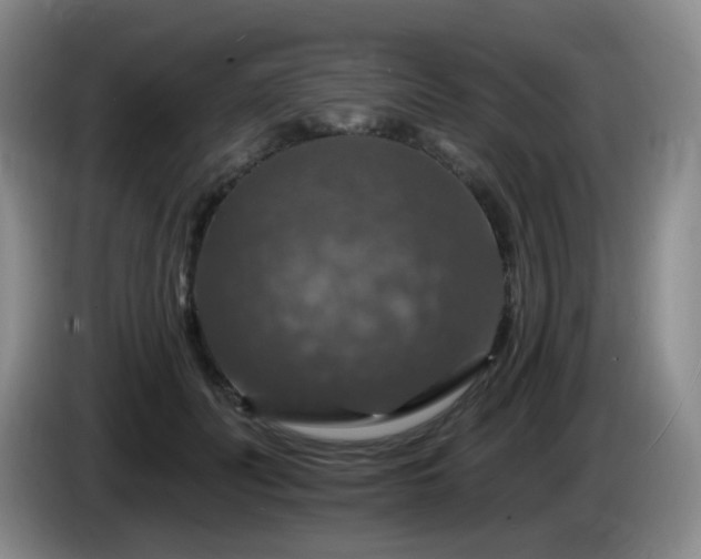 X0000085300606200703091434