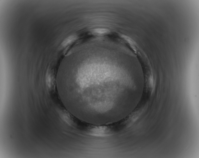 X0000085300609200703091434