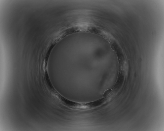 X0000085300610200703091434