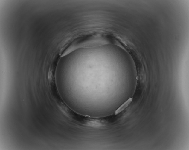 X0000085300611200703091433