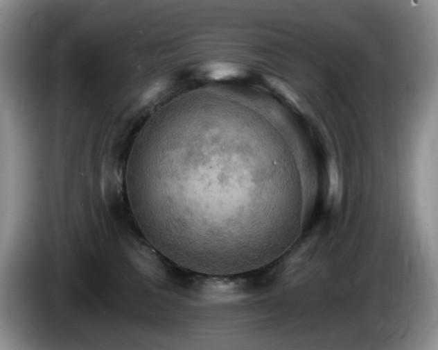 X0000085300613200703091433