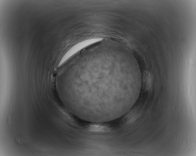 X0000085300614200703091433