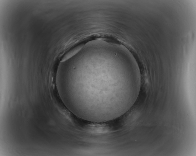 X0000085300615200703091433