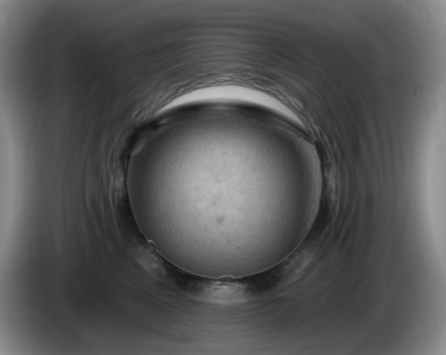 X0000085300617200703091433