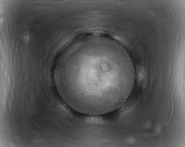 X0000085300619200703091433