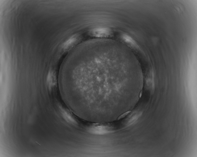 X0000085300620200703091433