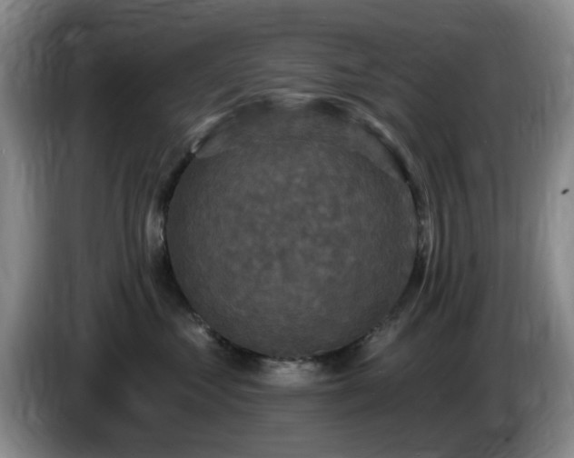 X0000085300621200703091433