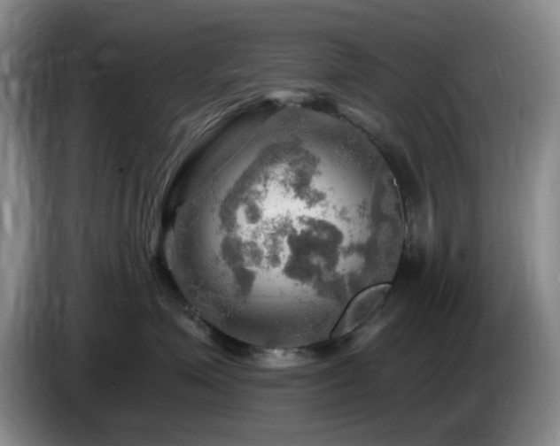 X0000085300623200703091433