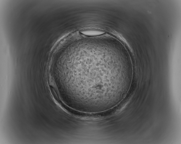 X0000085300625200703091432