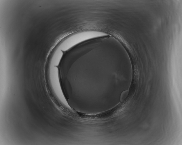 X0000085300626200703091433