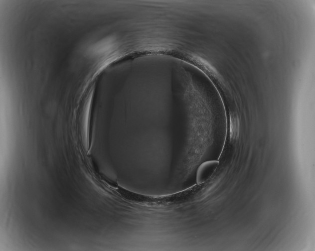 X0000085300627200703091433