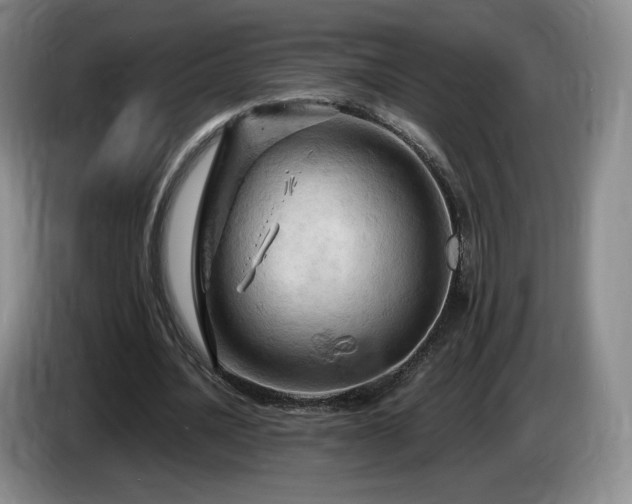 X0000085300628200703091433