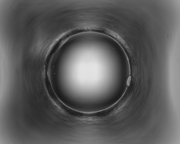 X0000085300629200703091433