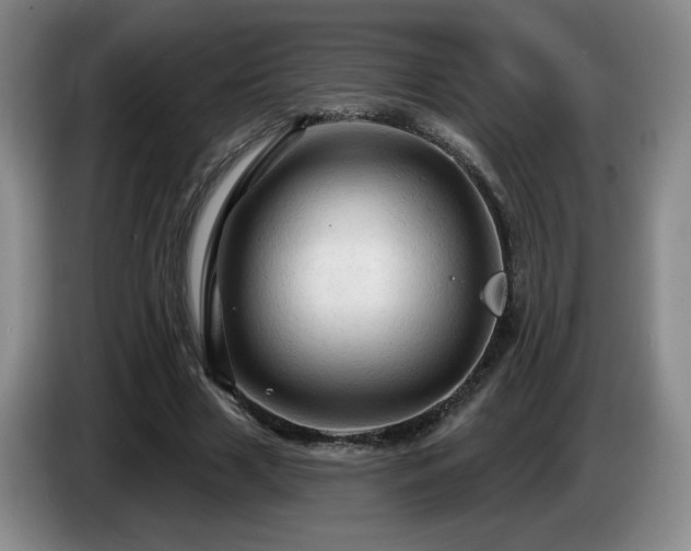 X0000085300633200703091433