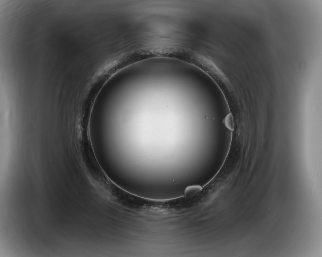 X0000085300635200703091433