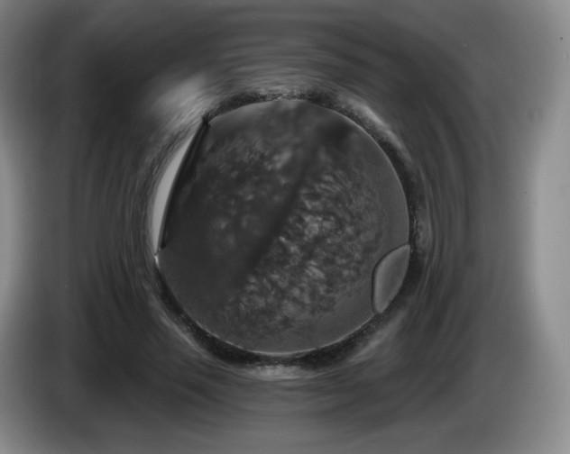 X0000085300637200703091433