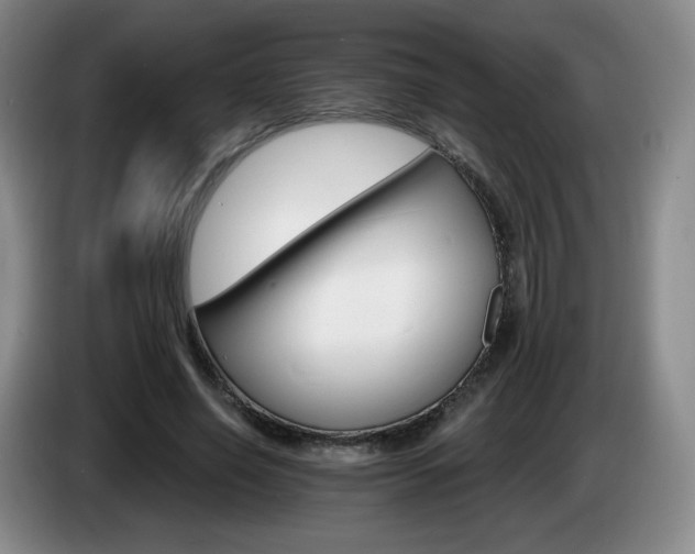 X0000085300638200703091433