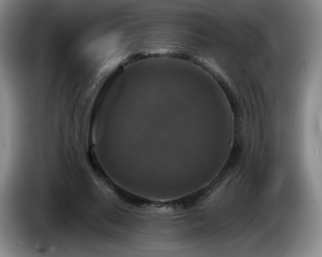 X0000085300640200703091433