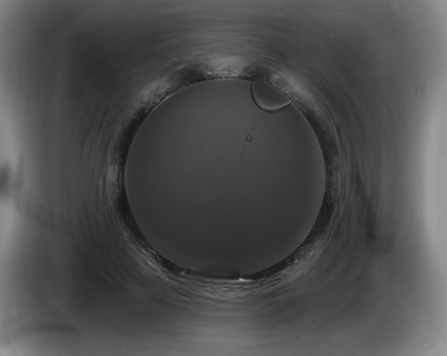 X0000085300641200703091433