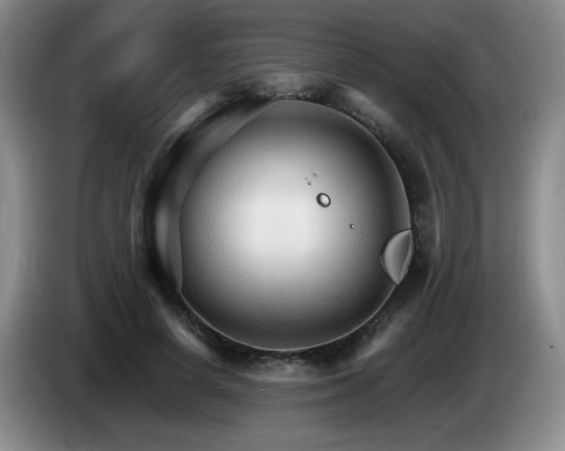 X0000085300642200703091433