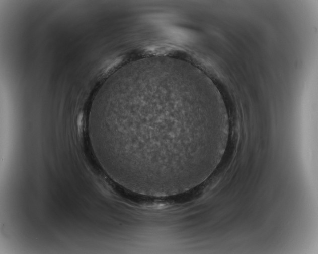 X0000085300647200703091433