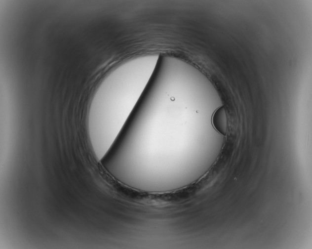 X0000085300648200703091433