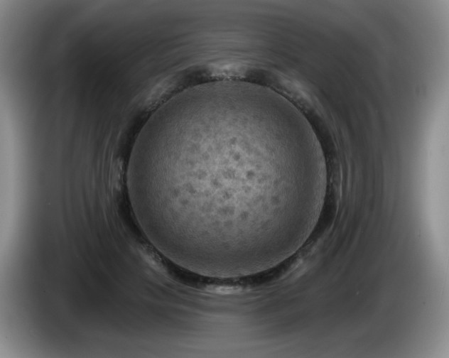 X0000085300649200703091433