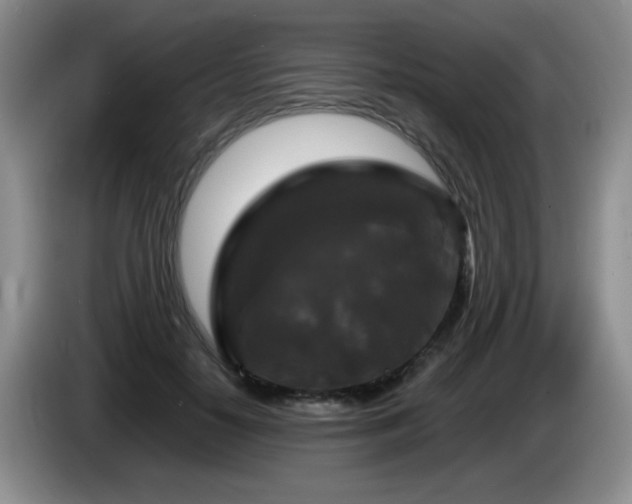 X0000085300650200703091433