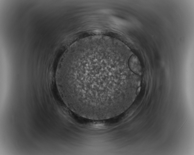 X0000085300651200703091433