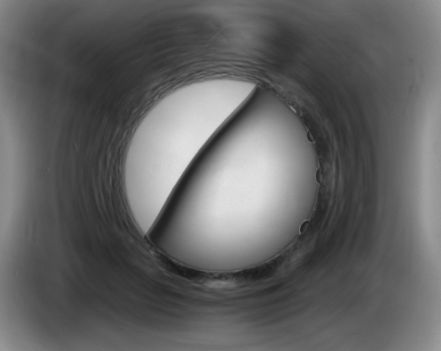 X0000085300653200703091433