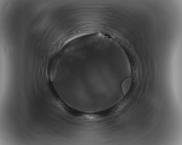 X0000085300654200703091433