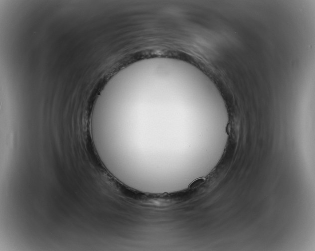 X0000085300657200703091433