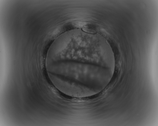 X0000085300658200703091433