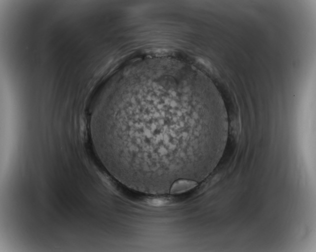 X0000085300662200703091433