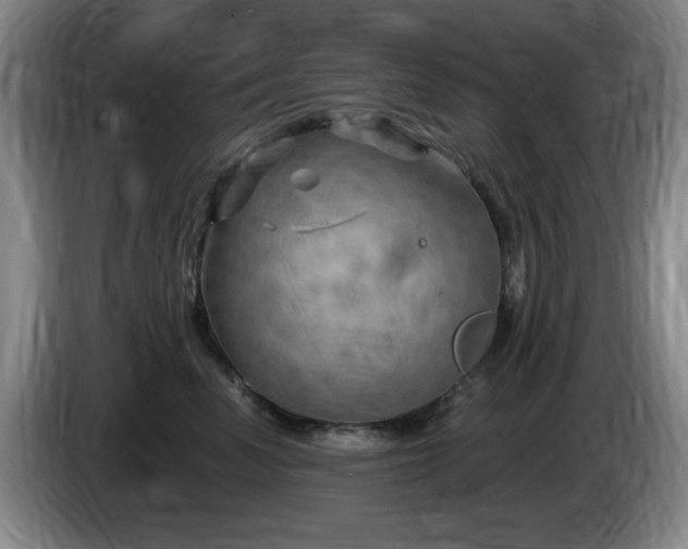 X0000085300666200703091433