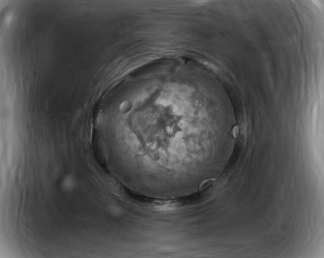 X0000085300667200703091433