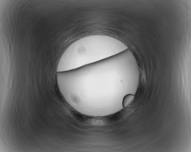 X0000085300668200703091433