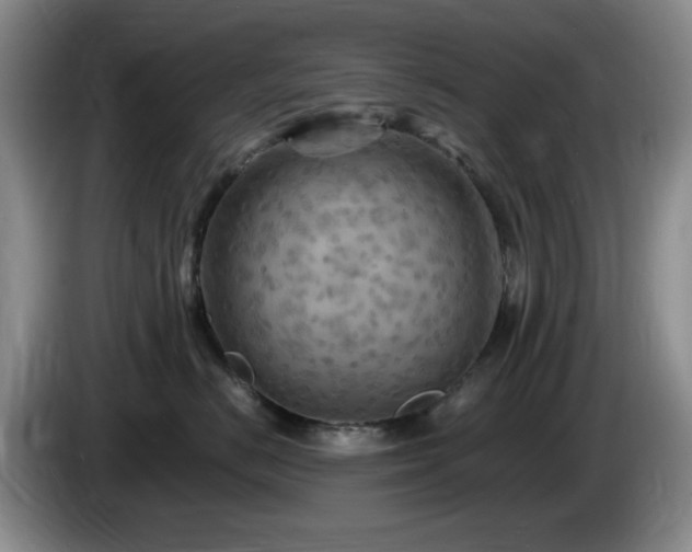 X0000085300670200703091433